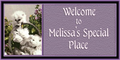 Melissa's Welcome