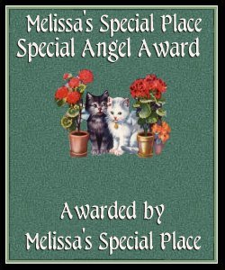 Melissa's Special Angel Award