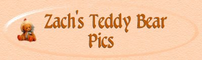 Teddy Bear Pics Banner